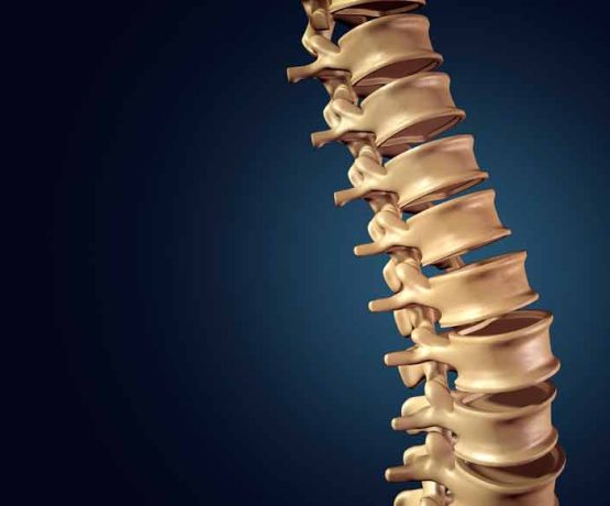 Ilustração detalhada da coluna vertebral humana, exibindo uma leve curvatura natural. A imagem destaca as vértebras individuais e os discos intervertebrais, proporcionando uma visão clara da estrutura espinhal. O fundo azul escuro cria um contraste com a coloração bege da coluna, tornando os detalhes anatômicos mais evidentes. Essa representação visual é útil para estudos médicos e compreensão da saúde da coluna.